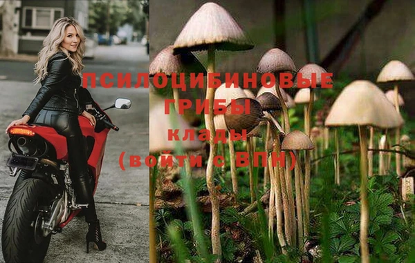 винт Аркадак